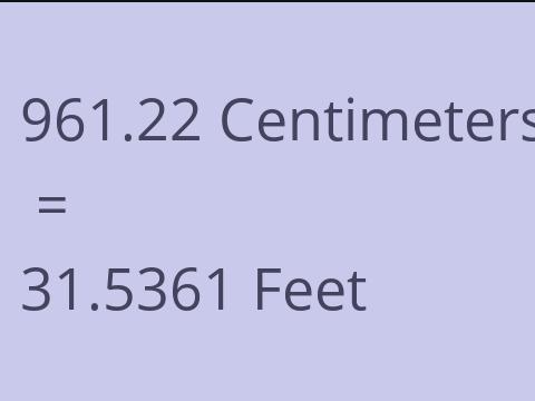 961.22 CM TO FEET