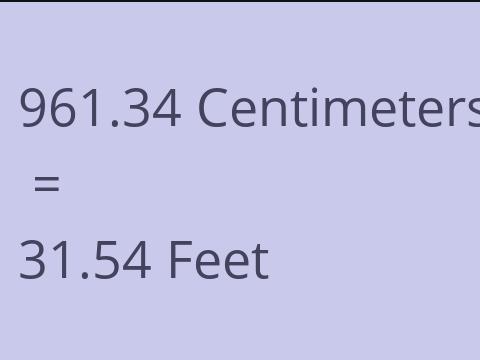 961.34 CM TO FEET