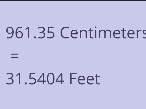 961.35 CM TO FEET