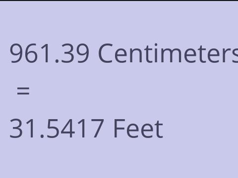 961.39 CM TO FEET