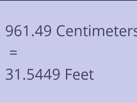 961.49 CM TO FEET