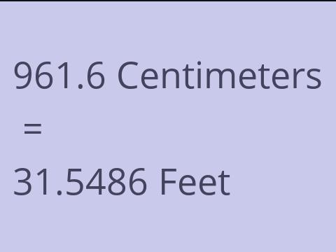 961.6 CM TO FEET