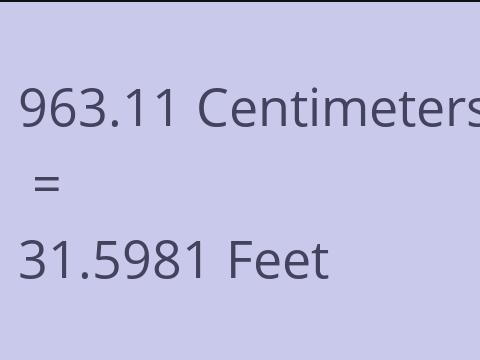 963.11 CM TO FEET