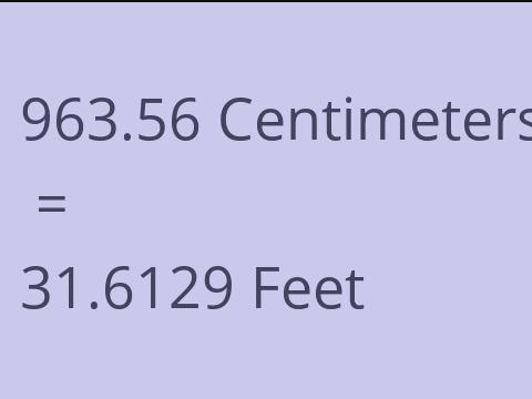 963.56 CM TO FEET