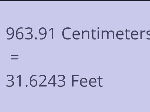 963.91 CM TO FEET