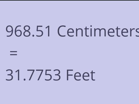 968.51 CM TO FEET