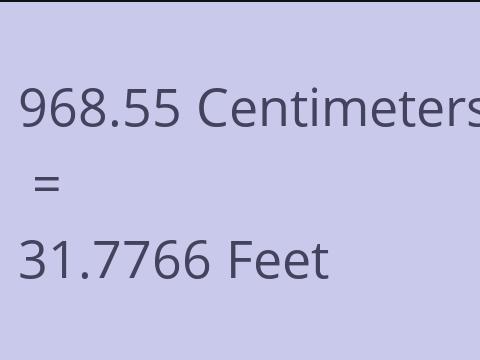 968.55 CM TO FEET