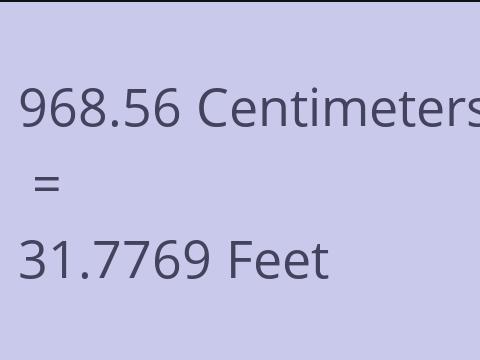 968.56 CM TO FEET