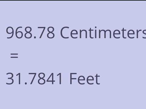 968.78 CM TO FEET