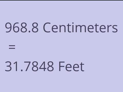 968.8 CM TO FEET