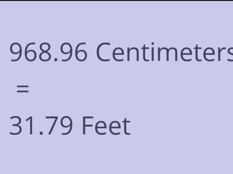 968.96 CM TO FEET