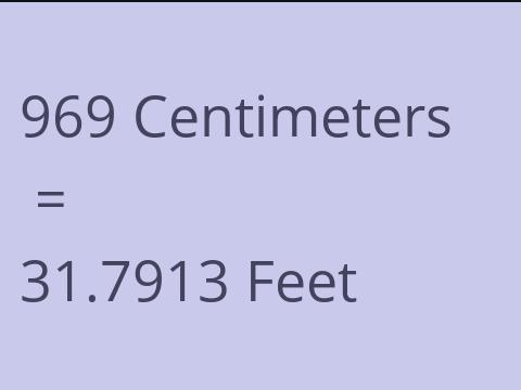 969 CM TO FEET