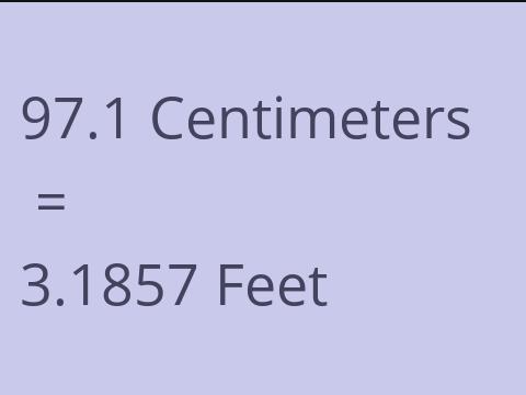 97.1 CM TO FEET