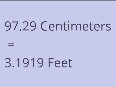 97.29 CM TO FEET