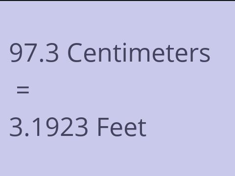 97.3 CM TO FEET