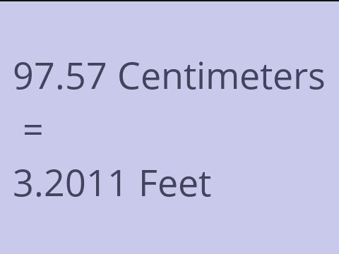 97.57 CM TO FEET