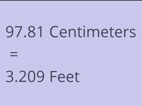 97.81 CM TO FEET