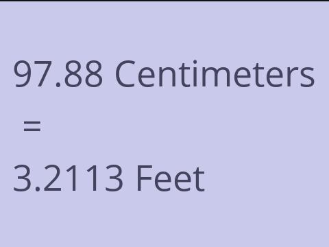 97.88 CM TO FEET