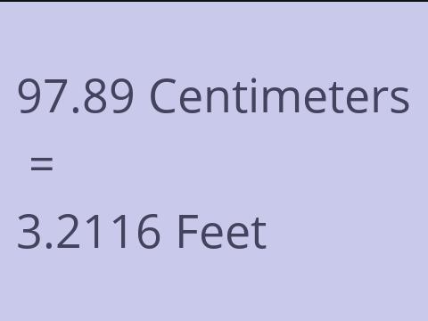 97.89 CM TO FEET