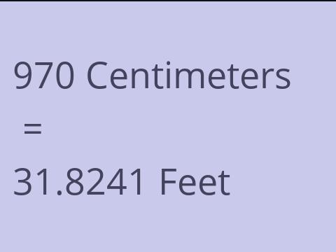 970 CM TO FEET