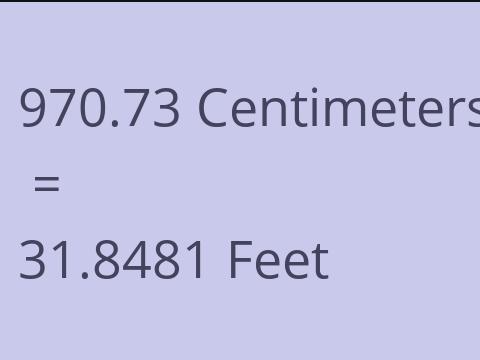 970.73 CM TO FEET