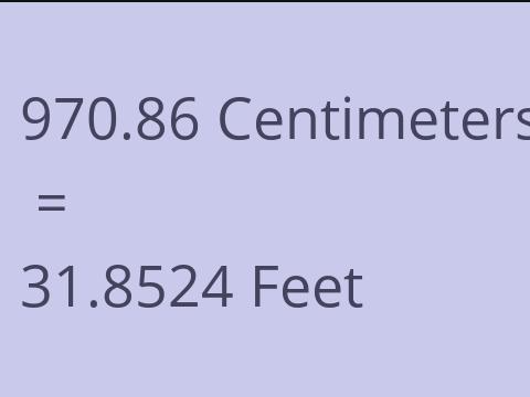 970.86 CM TO FEET