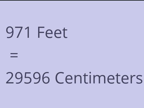 971 FEET TO CM