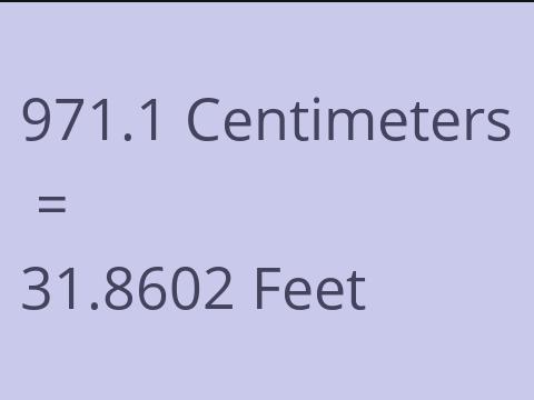 971.1 CM TO FEET