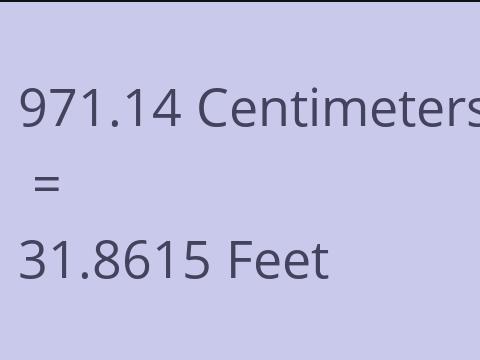 971.14 CM TO FEET