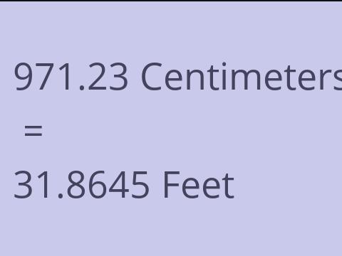 971.23 CM TO FEET