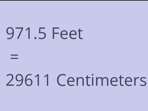 971.5 FEET TO CM