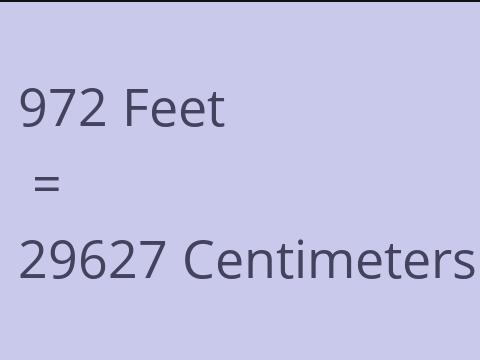 972 FEET TO CM