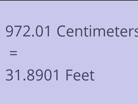 972.01 CM TO FEET