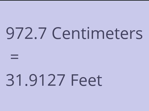 972.7 CM TO FEET