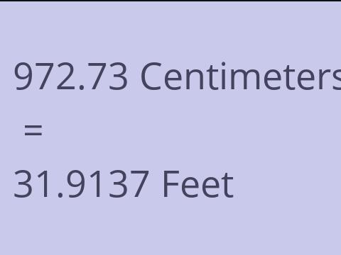 972.73 CM TO FEET