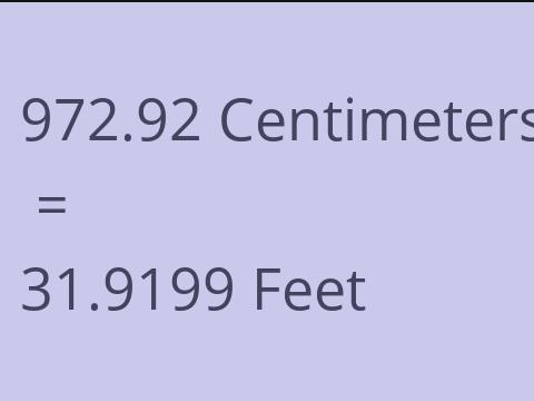 972.92 CM TO FEET