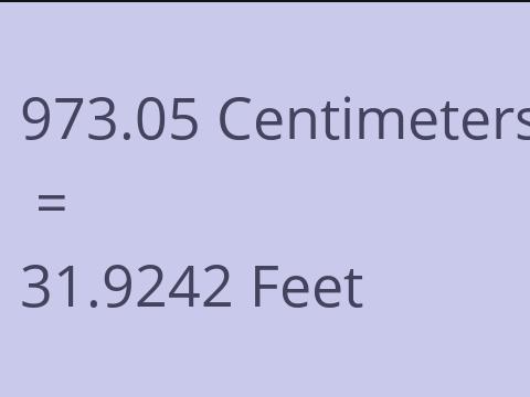 973.05 CM TO FEET