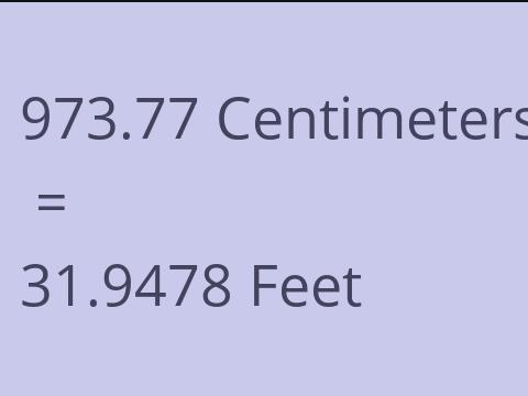 973.77 CM TO FEET