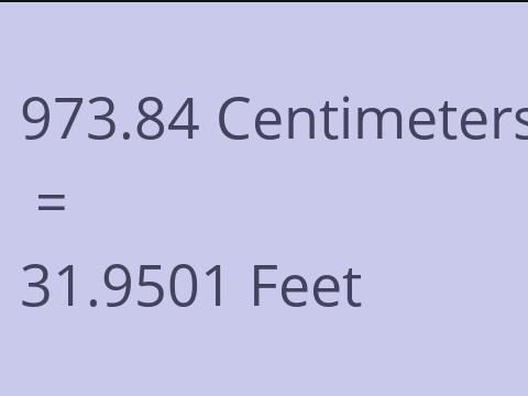 973.84 CM TO FEET