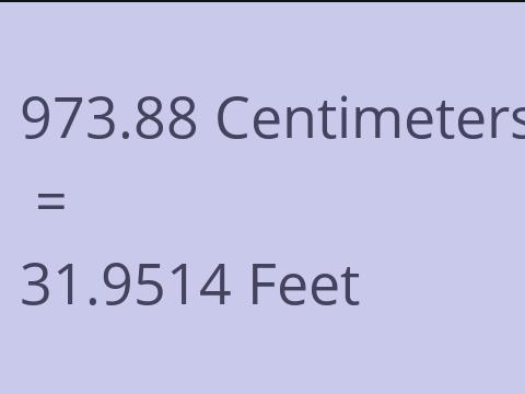 973.88 CM TO FEET