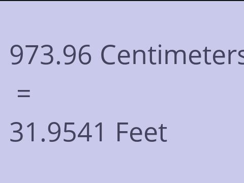 973.96 CM TO FEET