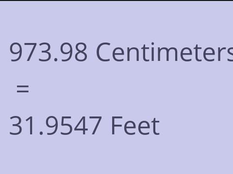 973.98 CM TO FEET