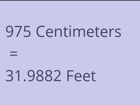 975 CM TO FEET