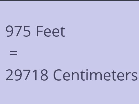 975 FEET TO CM