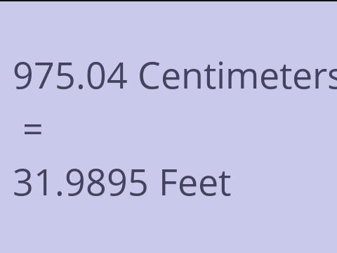 975.04 CM TO FEET