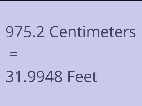 975.2 CM TO FEET