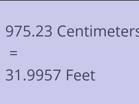 975.23 CM TO FEET