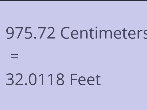 975.72 CM TO FEET