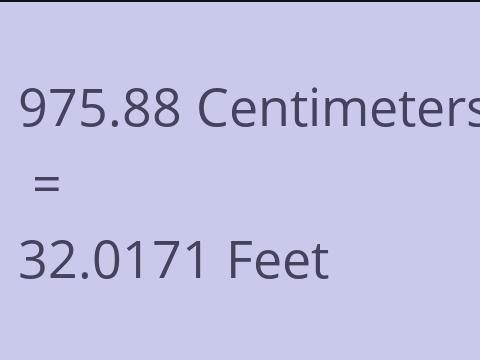 975.88 CM TO FEET