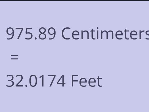 975.89 CM TO FEET